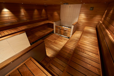 saunas pour les professionnels